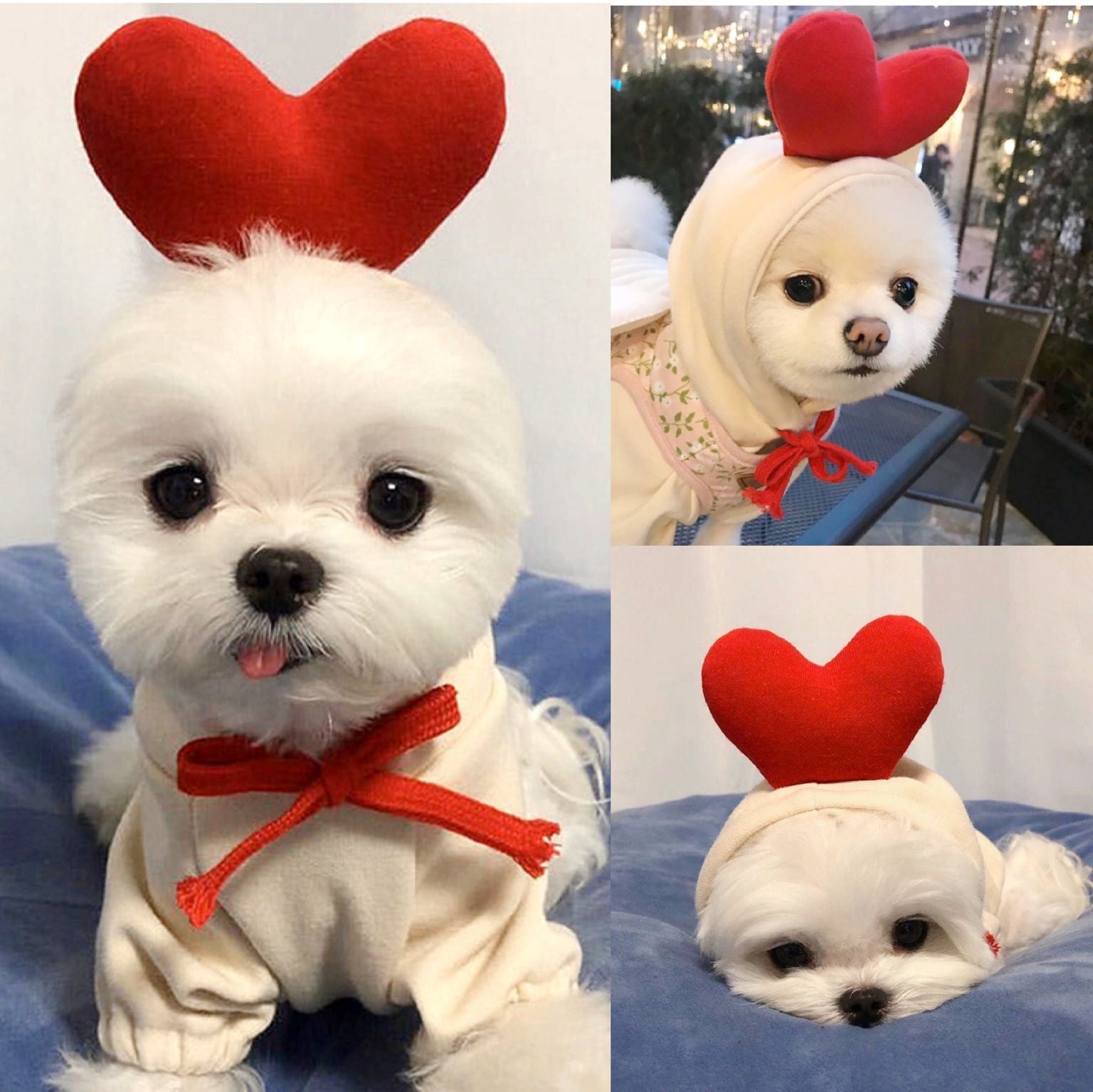 Sudadera Suave de Invierno para Mascotas 🐾 | Ideal para Razas Pequeñas y Medianas