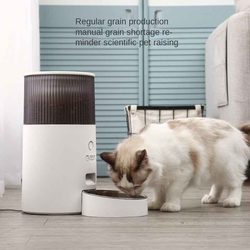 🐶🐱Dispensador Automático de Comida y Agua para Mascotas – Fuente con Filtro UV y Acero Inoxidable ️💦🍽️