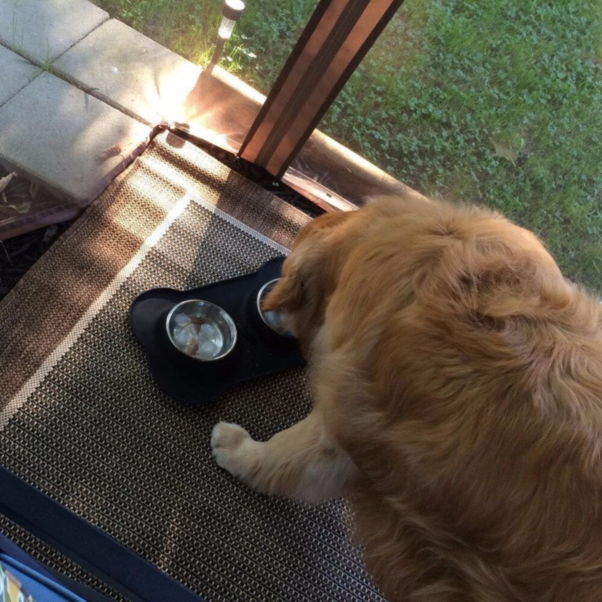 Plato de Acero Inoxidable Antiderrame con Base de Silicona Antideslizante para Perros y Gatos