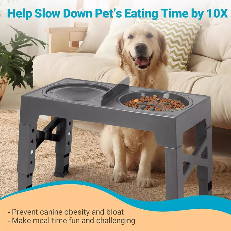 🥣 Comedero Elevado Ajustable para Perros – Bowl de Comida y Agua, Anti-Desbordes y Slow Feeder