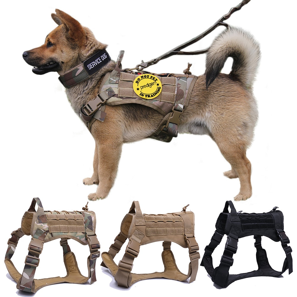 ️ 🏋️‍♂️ Arnés táctico de grado militar con correa bungee — resistente, acolchado y ajustable. Perfecto para perros activos o de entrenamiento. ¡Control total con estilo y seguridad! 🐾