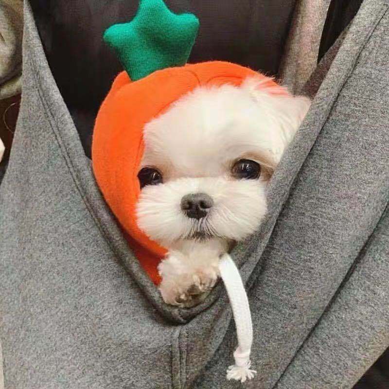 Sudadera Suave de Invierno para Mascotas 🐾 | Ideal para Razas Pequeñas y Medianas