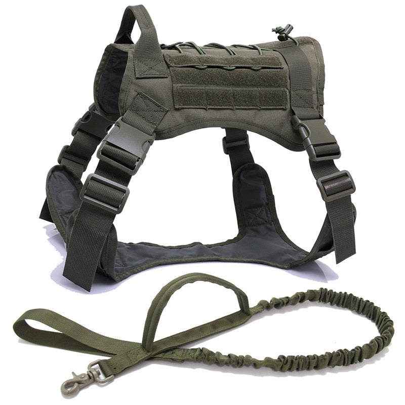 ️ 🏋️‍♂️ Arnés táctico de grado militar con correa bungee — resistente, acolchado y ajustable. Perfecto para perros activos o de entrenamiento. ¡Control total con estilo y seguridad! 🐾