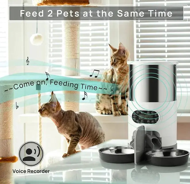 Dispensador Automático de Comidas para Mascotas